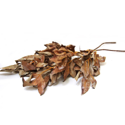 Liść dekoracyjny Gałązka Brudny Róż 65cm